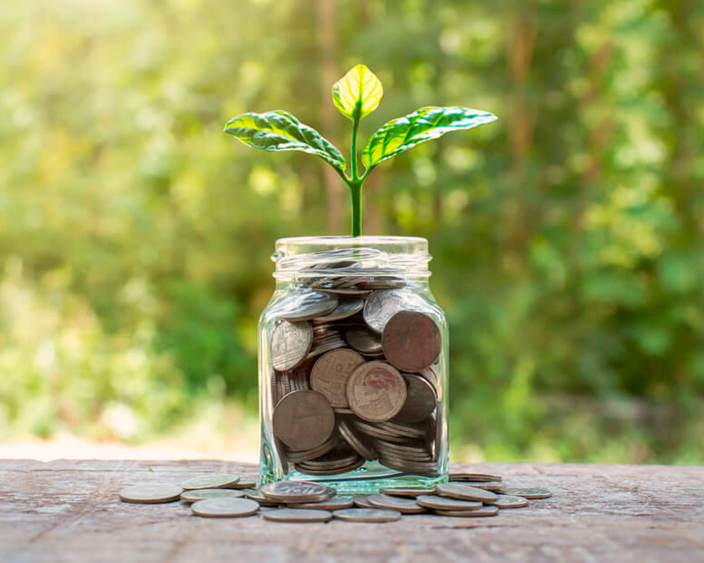 Por que investir em Créditos de Carbono é essencial para o futuro do seu negócio?